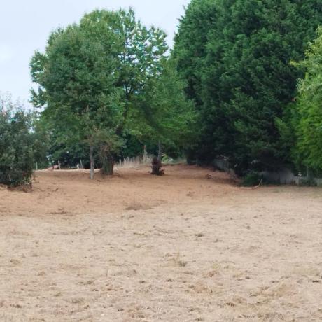 Terreno en Villarromariz s/n