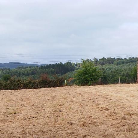 Terreno en Villarromariz s/n