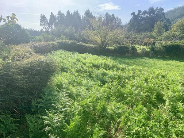 Terreno en Cp-6111 s/n