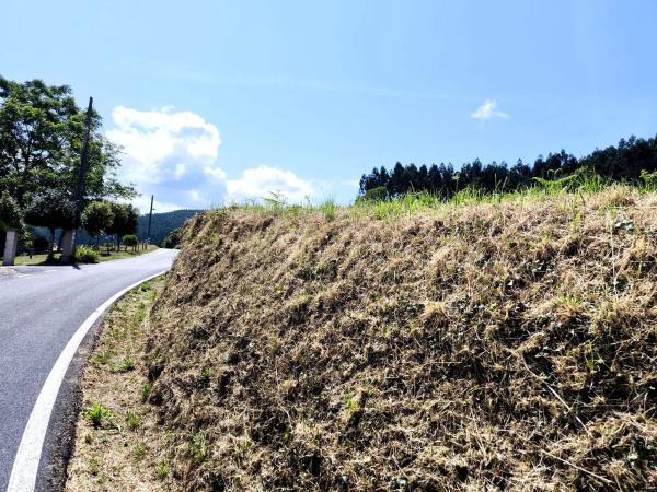 Terreno en Lugar Bodeguiña