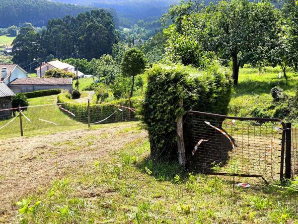 Terreno en Lugar Bodeguiña
