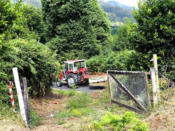 Terreno en Lugar Bodeguiña