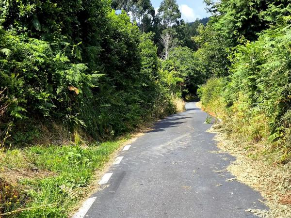 Terreno en Lugar Bodeguiña