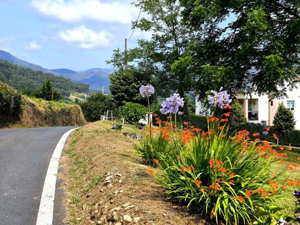 Terreno en Lugar Bodeguiña