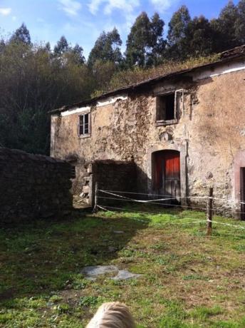 Terreno en Lugar Rectoral, 19