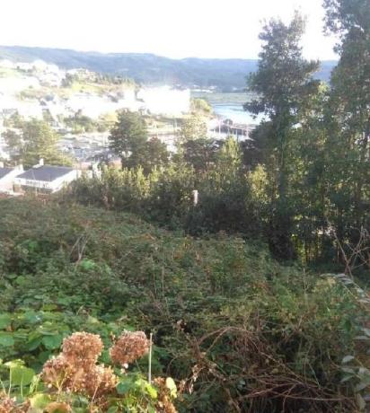 Terreno en calle do Castelo