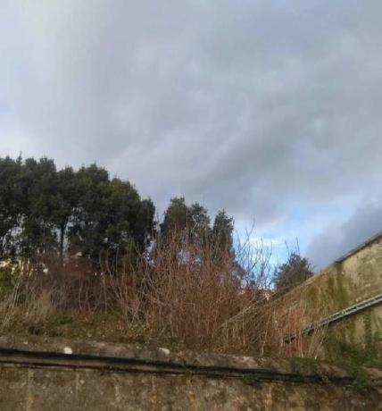 Terreno en calle do Castelo