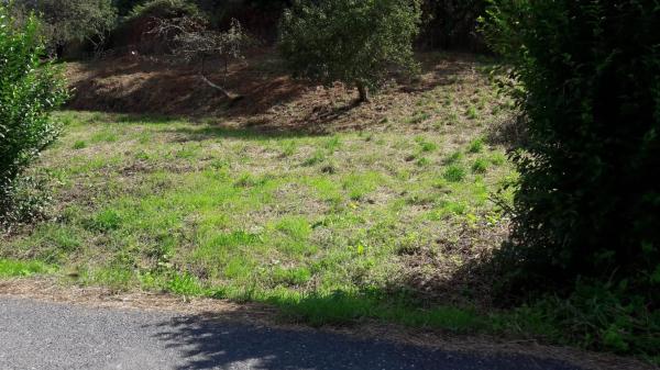 Terreno en Lugar Costa, 13