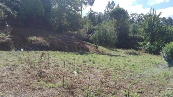 Terreno en Lugar Costa, 13