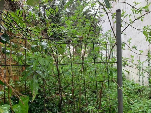 Terreno en concordia