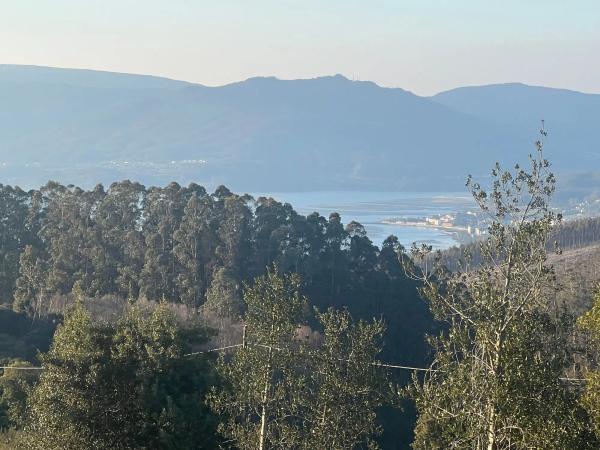 Terreno en Lugar Campo, 8