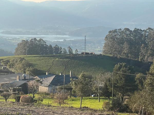 Terreno en Lugar Campo, 8
