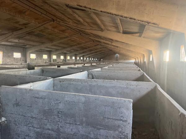 Terreno en Lugar Campo, 8