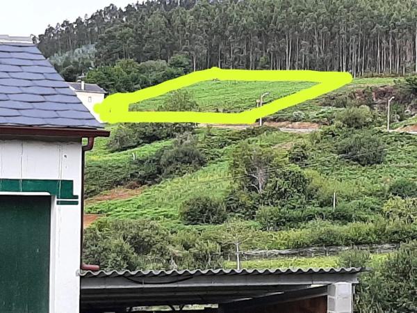 Terreno en Ladrido s/n