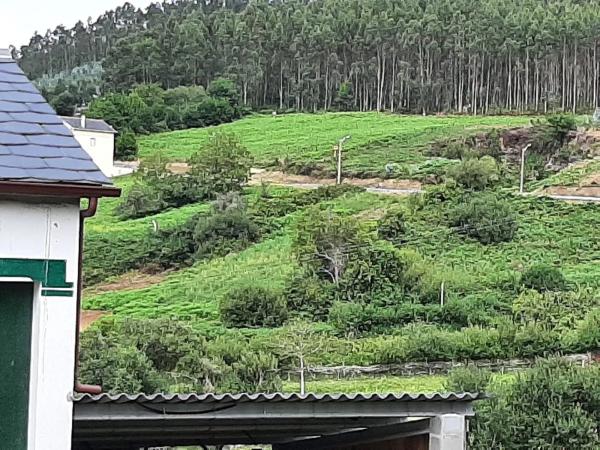 Terreno en Ladrido s/n