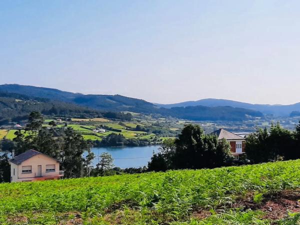 Terreno en Ladrido s/n