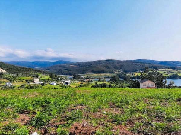 Terreno en Ladrido s/n