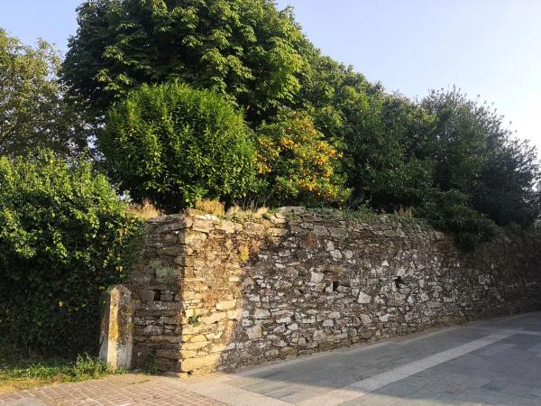 Terreno en calle Curuxeira, 13