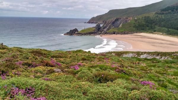 Terreno en Cp-6104 s/n sn