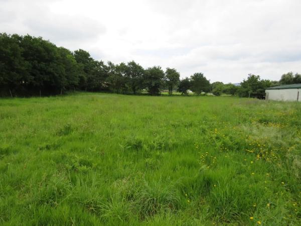 Terreno en a Escravitude s/n