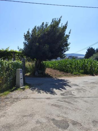 Terreno en Lugar Ponte Aldea, 91