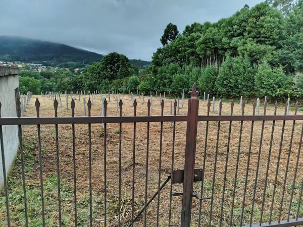 Terreno en Cortiñas s/n