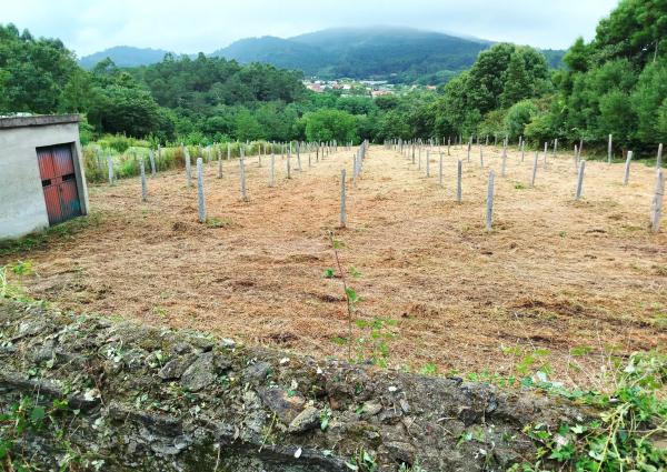 Terreno en Cortiñas s/n