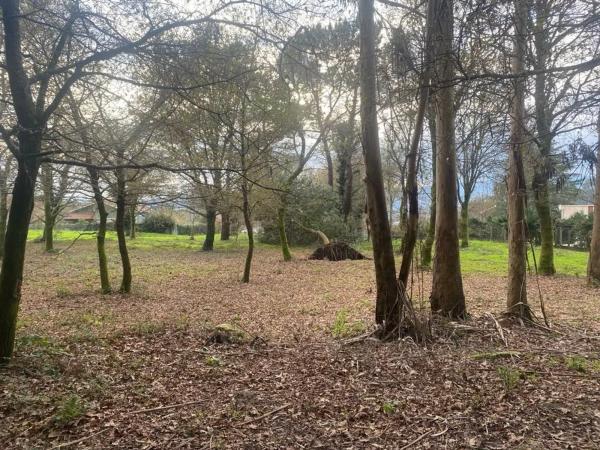 Terreno en Lugar Queiruga, 21