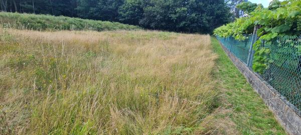 Terreno en Pedroso Norte s/n