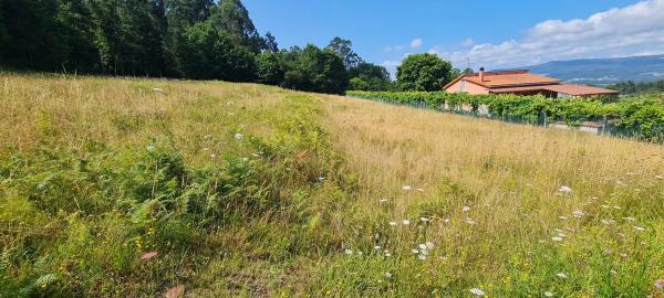 Terreno en Pedroso Norte s/n