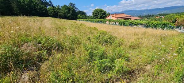 Terreno en Pedroso Norte s/n