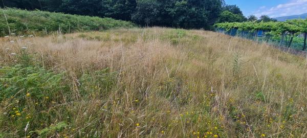 Terreno en Pedroso Norte s/n