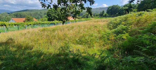 Terreno en Pedroso Norte s/n