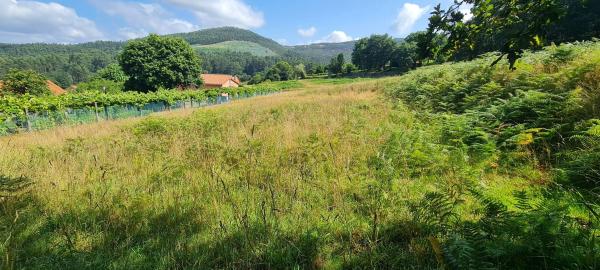 Terreno en Pedroso Norte s/n