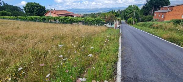 Terreno en Pedroso Norte s/n