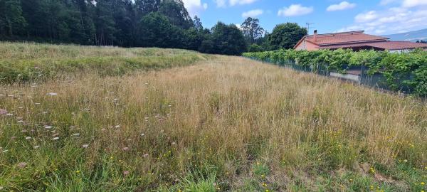 Terreno en Pedroso Norte s/n