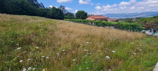 Terreno en Pedroso Norte s/n