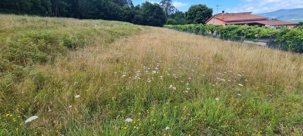 Terreno en Pedroso Norte s/n