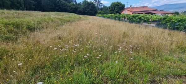 Terreno en Pedroso Norte s/n