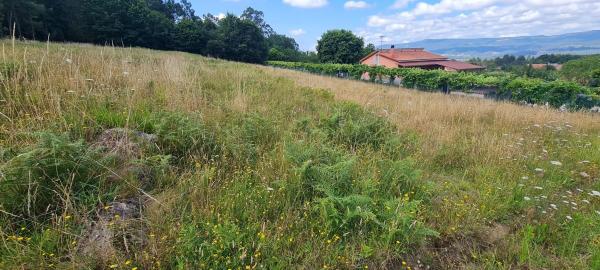 Terreno en Pedroso Norte s/n