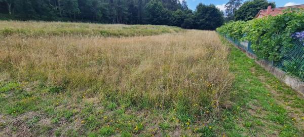 Terreno en Pedroso Norte s/n