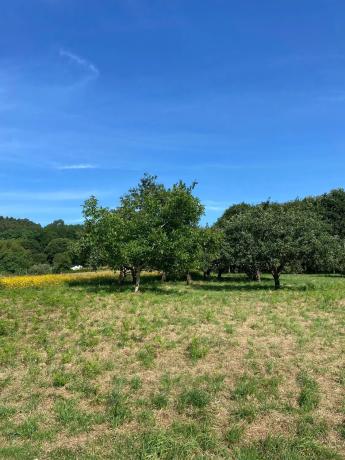 Terreno en Lugar Xabroal, 3