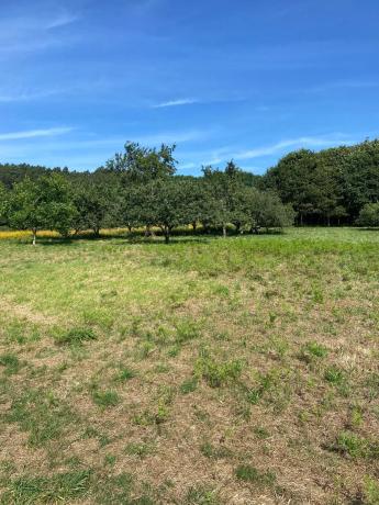 Terreno en Lugar Xabroal, 3