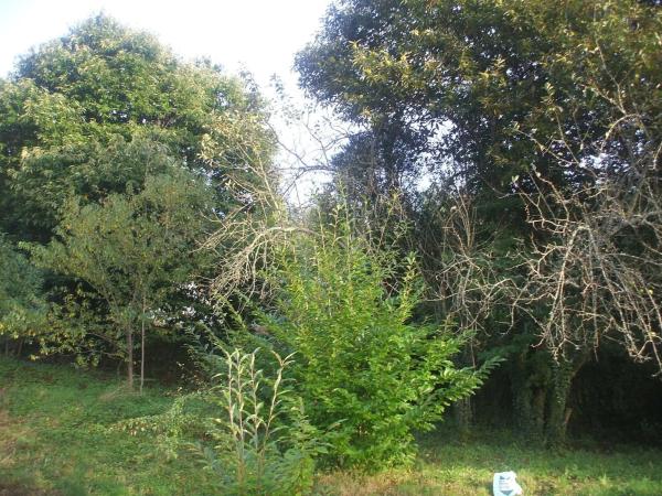 Terreno en Escravitude, 2