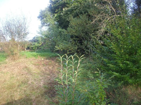 Terreno en Escravitude, 2