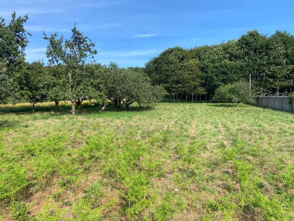 Terreno en Lugar Xabroal, 3