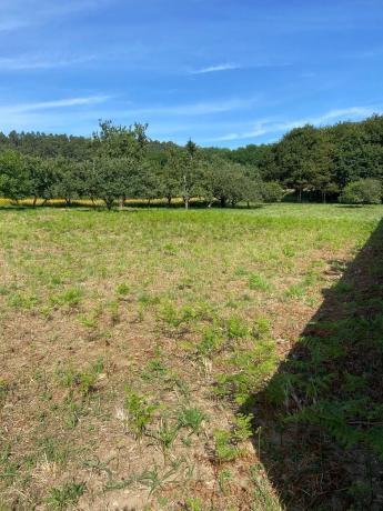 Terreno en Lugar Xabroal, 3