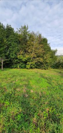 Terreno en pontedeume, 112