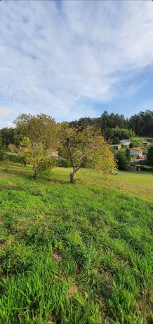 Terreno en pontedeume, 112