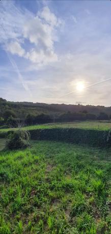 Terreno en pontedeume, 112